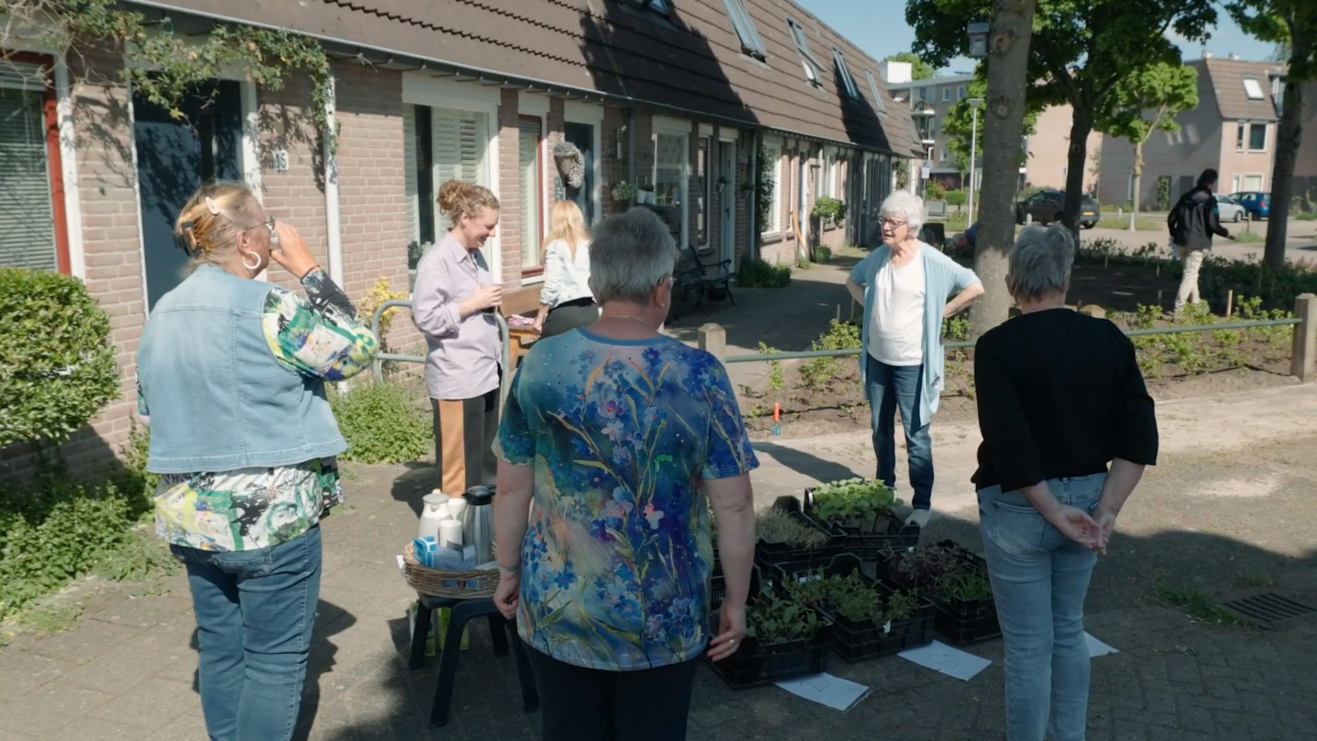 Gemeente Zwolle – Film de Moerbeistraat bloeit weer op